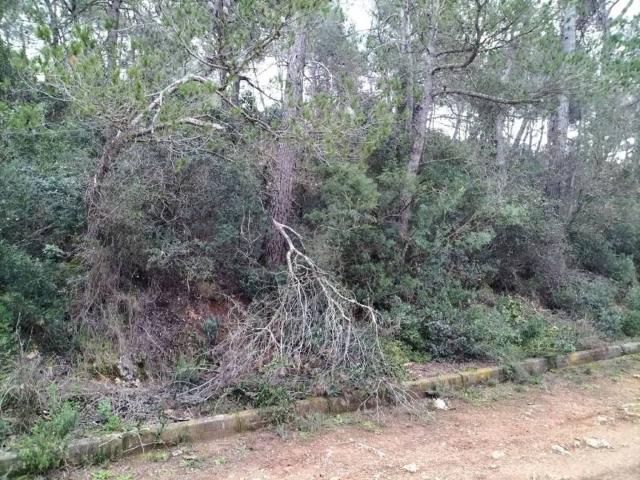 Terreno en venta en Alt Penedès, Catalunya