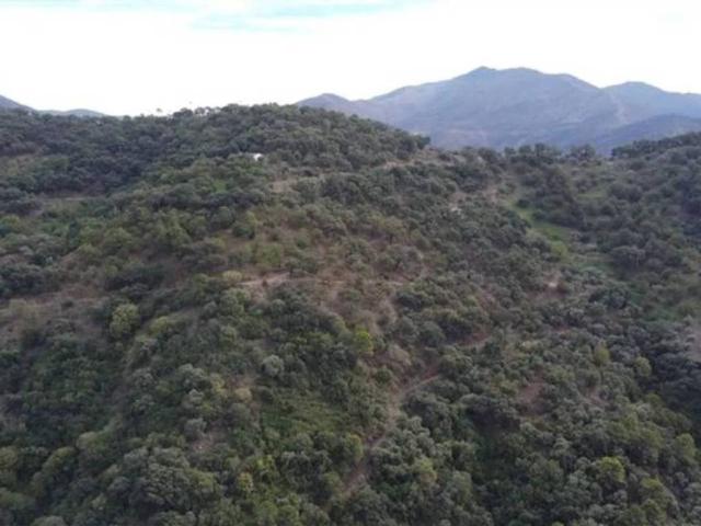Terreno en venta en Serranía de Ronda, Andalucía