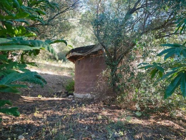 Terreno en venta en Serranía de Ronda, Andalucía