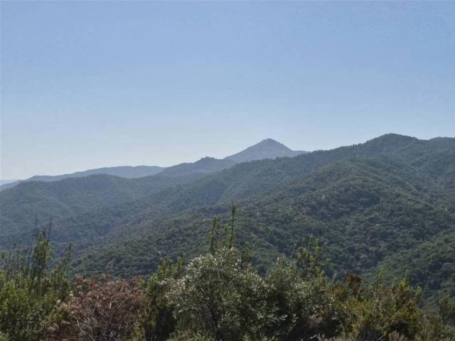 Terreno en venta en Serranía de Ronda, Andalucía