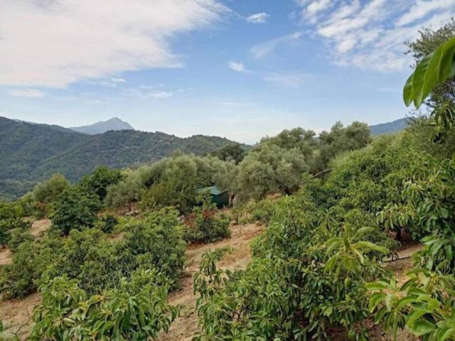 Terreno en venta en Serranía de Ronda, Andalucía