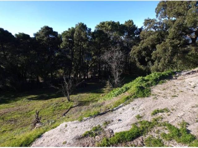 Terreno en venta en Serranía de Ronda, Andalucía