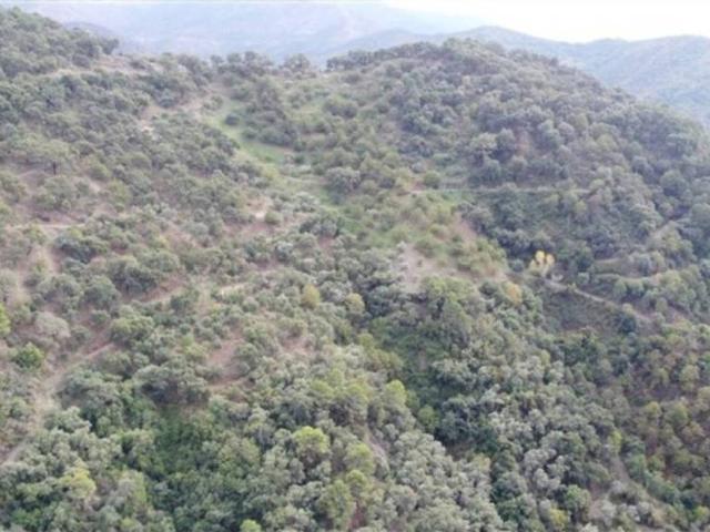 Terreno en venta en Serranía de Ronda, Andalucía