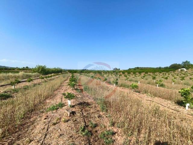 Terreno en venta en el Camp de Túria, Valencia