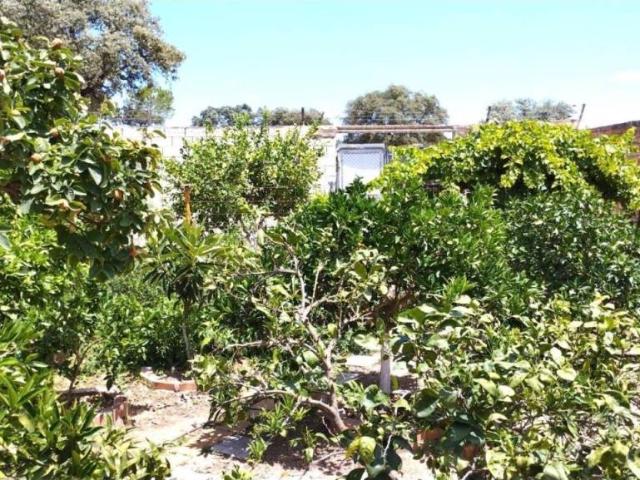 Terreno en venta en Gerena, Andalucía