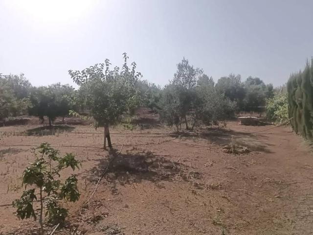 Terreno en venta en Gerena, Andalucía
