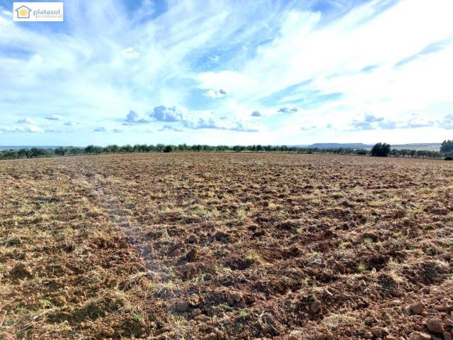 Terreno en venta en Gerena, Andalucía