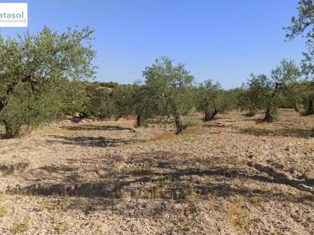 Terreno en venta en Gerena, Andalucía