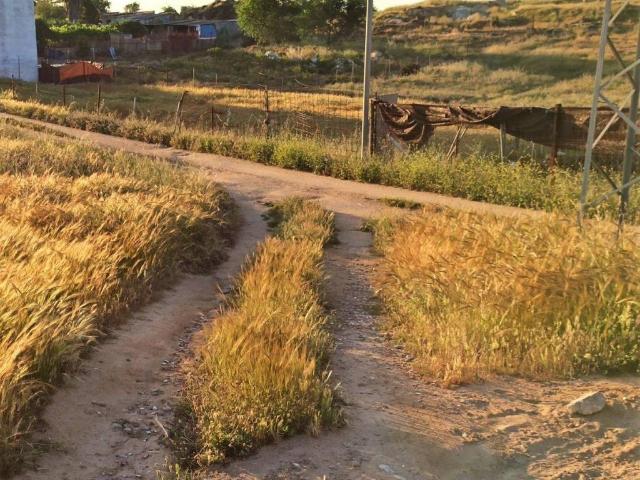 Terreno en venta en Gerena, Andalucía