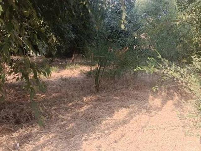 Terreno en venta en Gerena, Andalucía