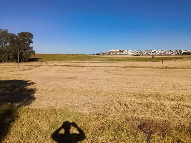 Terreno en venta en Gerena, Andalucía