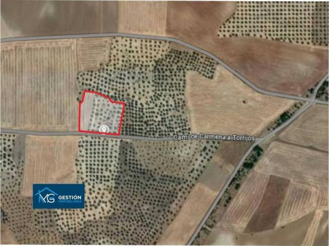 Terreno en venta en Gerindote, El Bosque