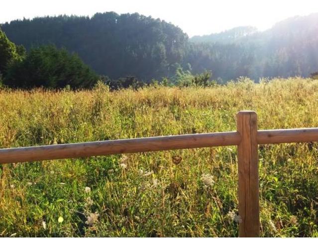 Terreno en venta en Gernika-lumo