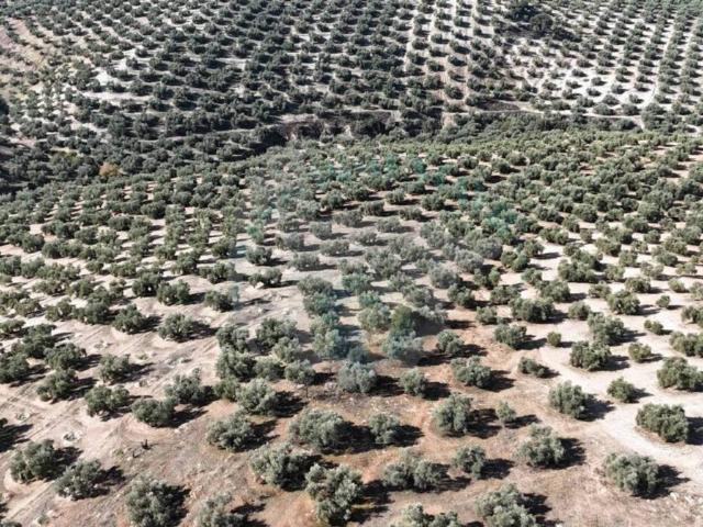 Terreno en venta en Getafe, Madrid