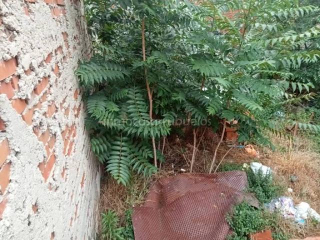 Terreno en venta en Getafe, Madrid