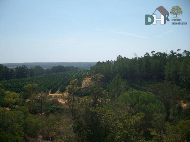 Terreno en venta en Comarca Metropolitana de Huelva, Andalucía