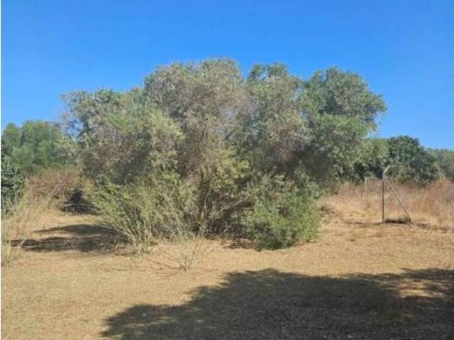 Terreno en venta en Comarca Metropolitana de Huelva, Andalucía