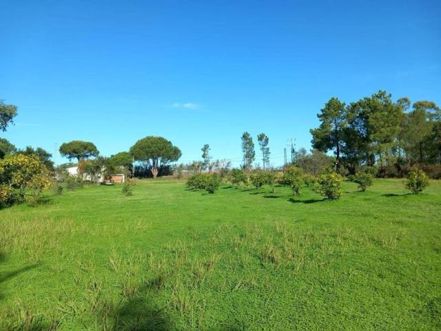 Terreno en venta en Comarca Metropolitana de Huelva, Andalucía