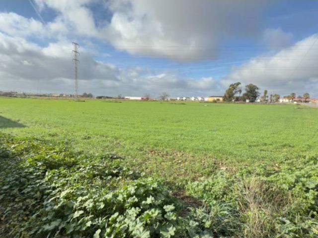 Terreno en venta en Comarca Metropolitana de Huelva, Andalucía