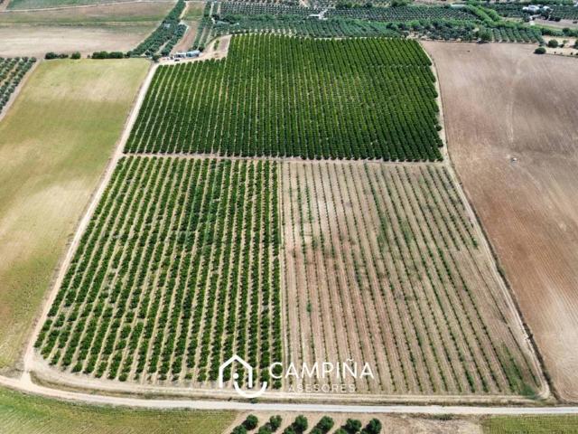 Terreno en venta en Comarca Metropolitana de Huelva, Andalucía