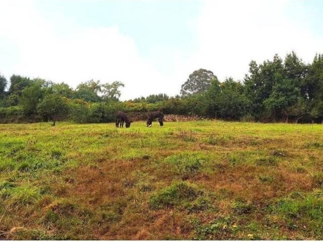 Terreno en venta en Caldones, Gijón