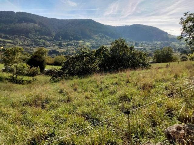 Terreno en venta en Siero, Asturias