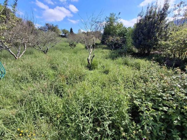 Terreno en venta en Carceo (Fano), Gijón