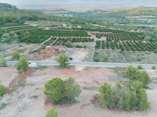 Terreno en venta en el Camp de Morvedre, Valencia