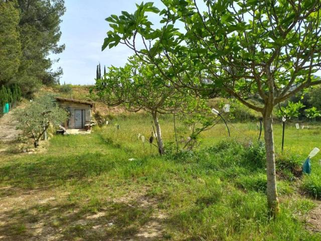 Terreno en venta en Ribera d'Ebre, Catalunya