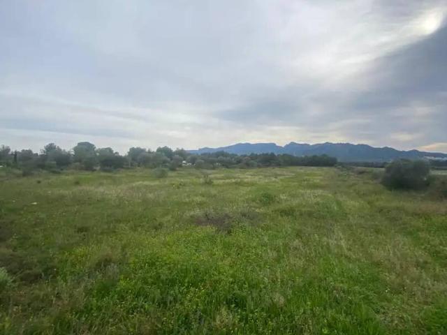 Terreno en venta en Ribera d'Ebre, Catalunya