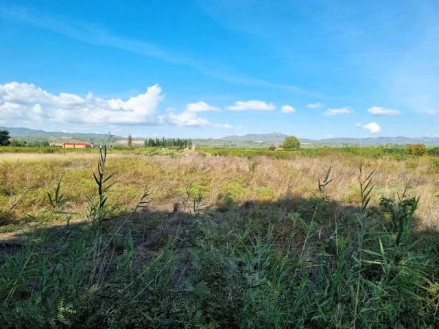 Terreno en venta en Ginestar, Tarragona