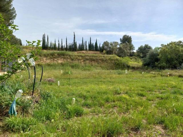 Terreno en venta en Ginestar, Tarragona