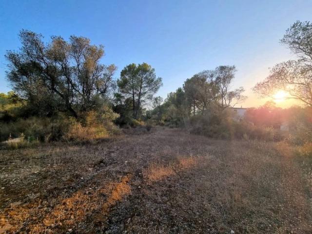 Terreno en venta en Ribera d'Ebre, Catalunya