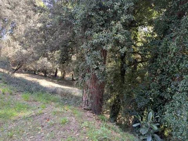 Terreno en venta en Palau, Gironès
