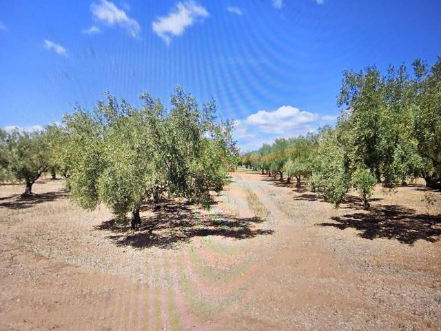 Terreno en venta en Montsià, Catalunya