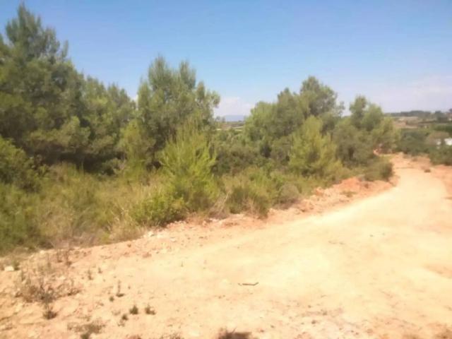 Terreno en venta en La Hoya de Buñol, Valencia
