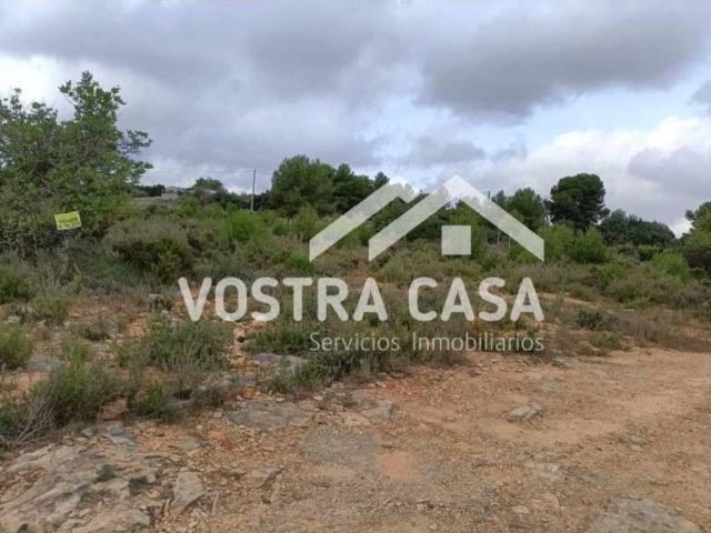 Terreno en venta en La Hoya de Buñol, Valencia
