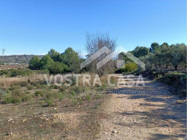 Terreno en venta en La Hoya de Buñol, Valencia
