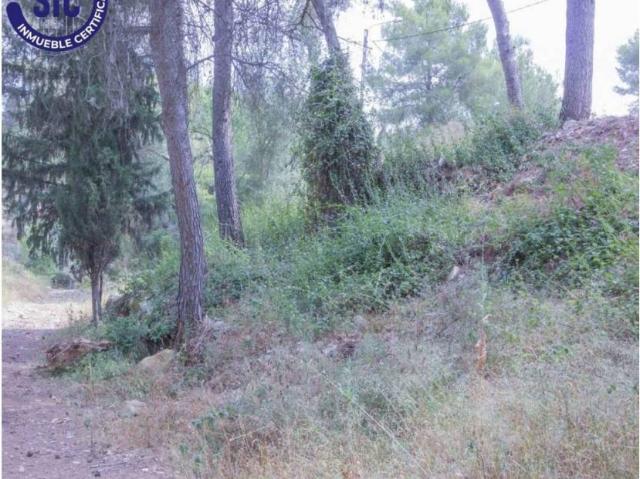 Terreno en venta en La Hoya de Buñol, Valencia