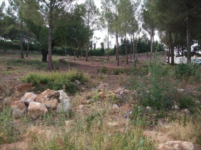 Terreno en venta en La Hoya de Buñol, Valencia