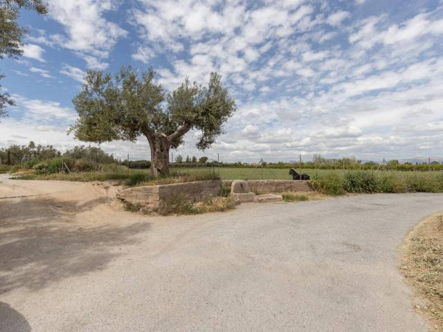 Terreno en venta en Gójar