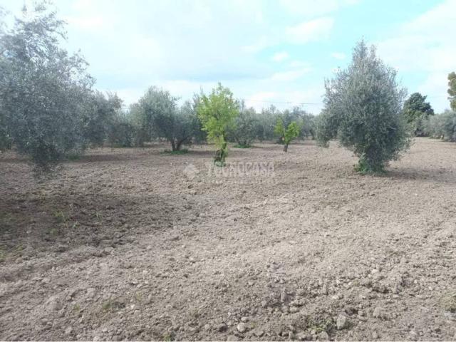 Terreno en venta en Comarca de la Vega de Granada, Andalucía