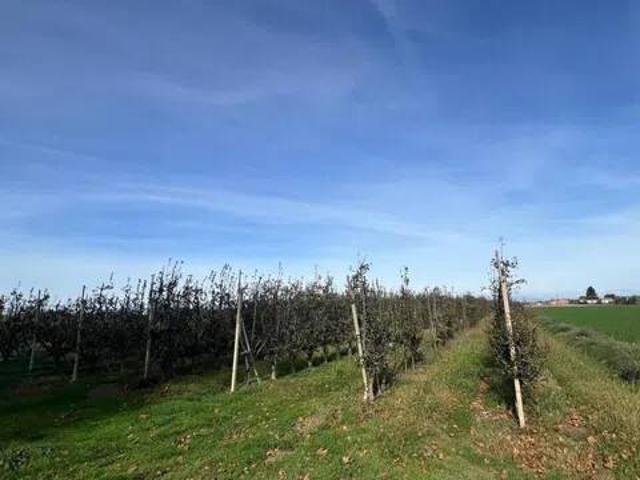 Terreno en venta en Pla d'Urgell, Catalunya