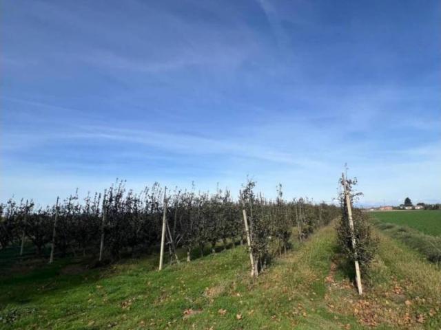 Terreno en venta en Pla d'Urgell, Catalunya