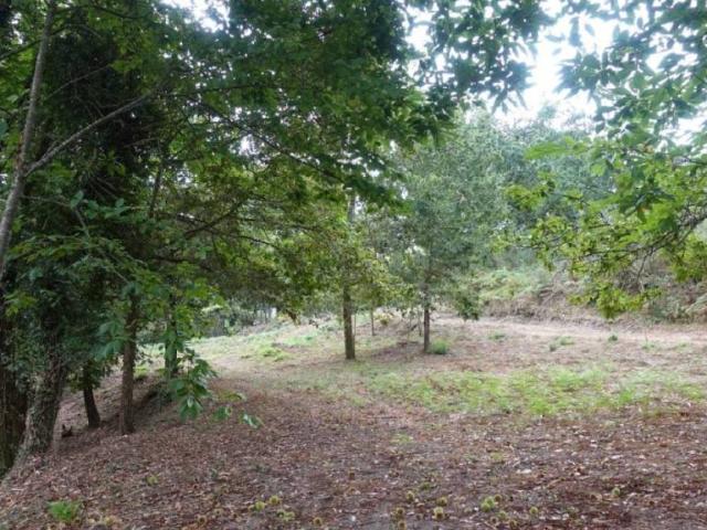 Terreno en venta en Vigo, Galicia