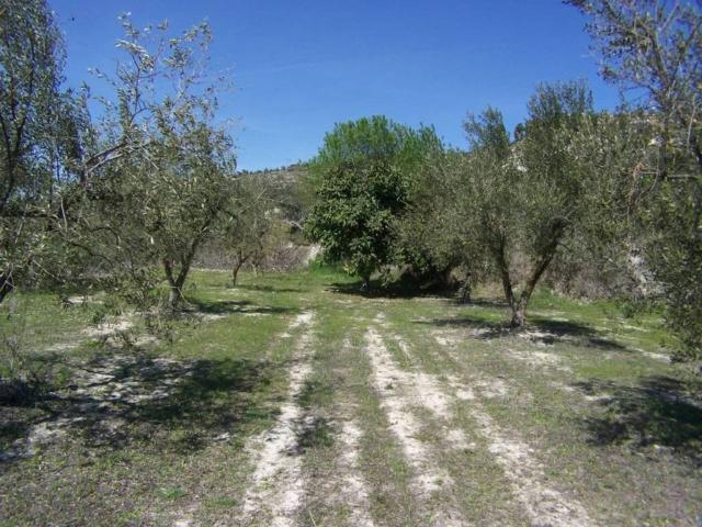 Terreno en venta en el Comtat, Valencia