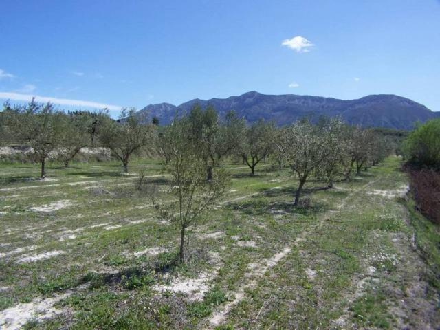 Terreno en venta en el Comtat, Valencia