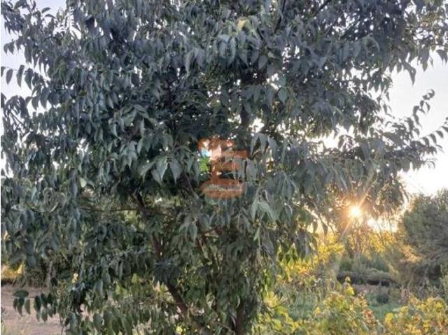 Terreno en venta en Aranda, Aragón