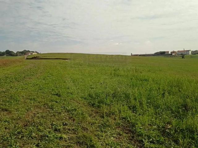Terreno en venta en Gozón, Asturias