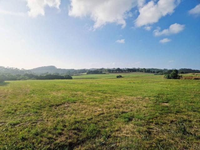 Terreno en venta en Gozón, Asturias